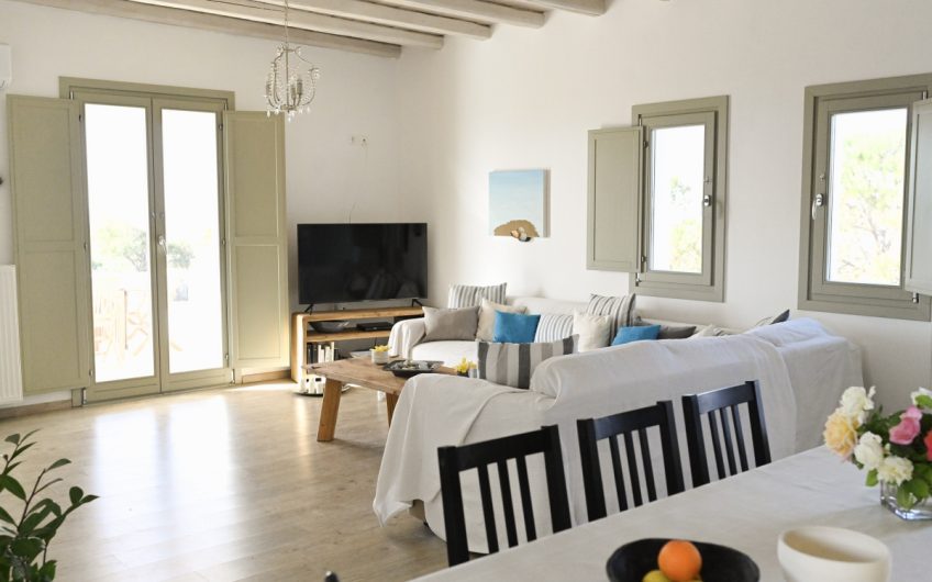 Paros House Villa