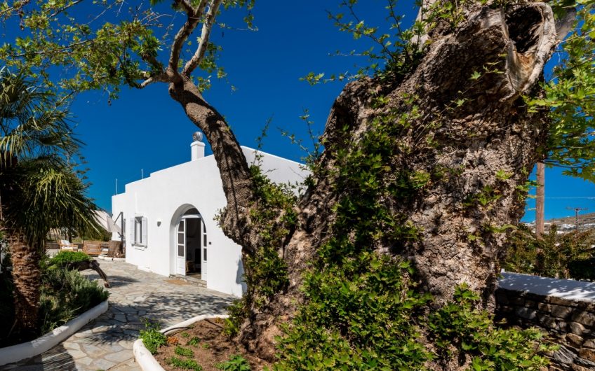 Plane Tree Villa