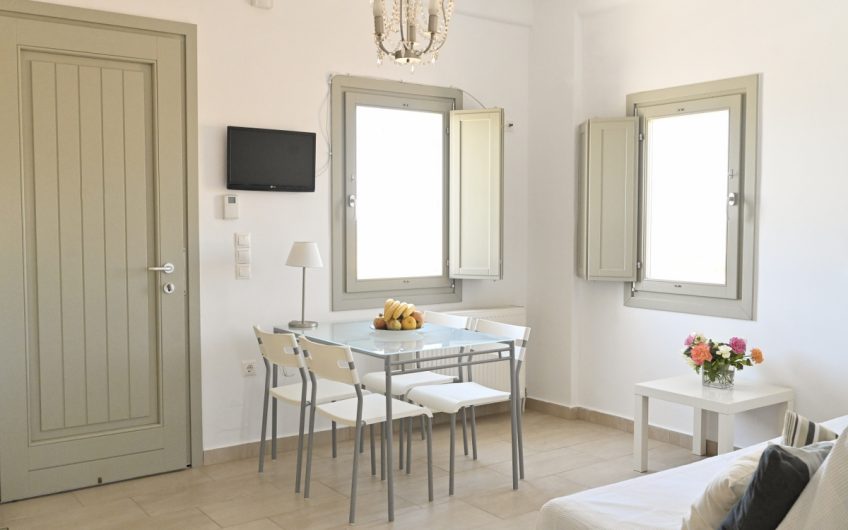 Paros House Villa