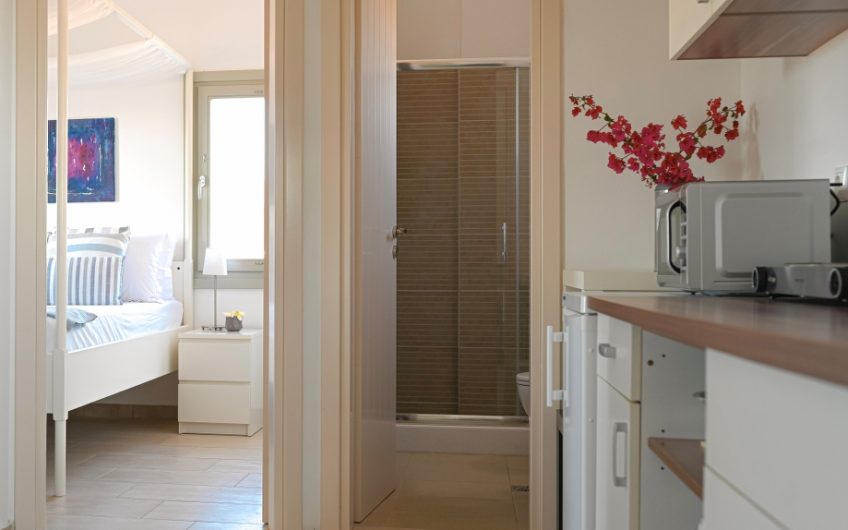 Paros House Villa